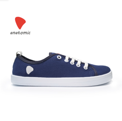 Starter Blu Anatomic