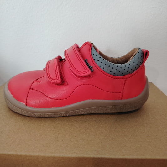 Playful Reddy vegan