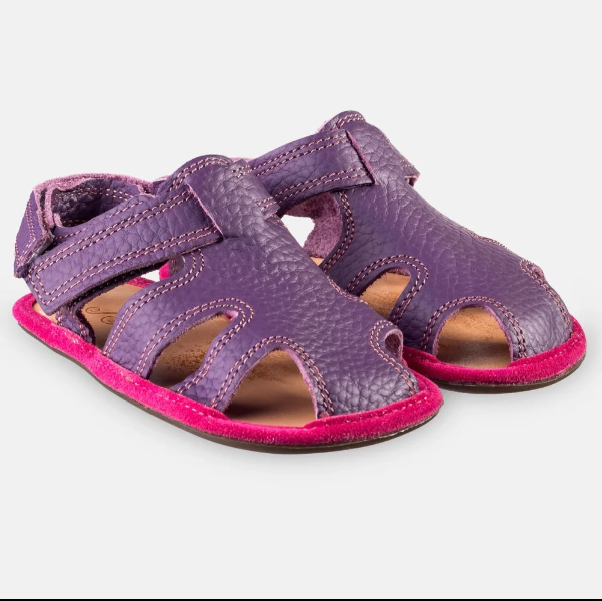 JANU 2.0 Purple